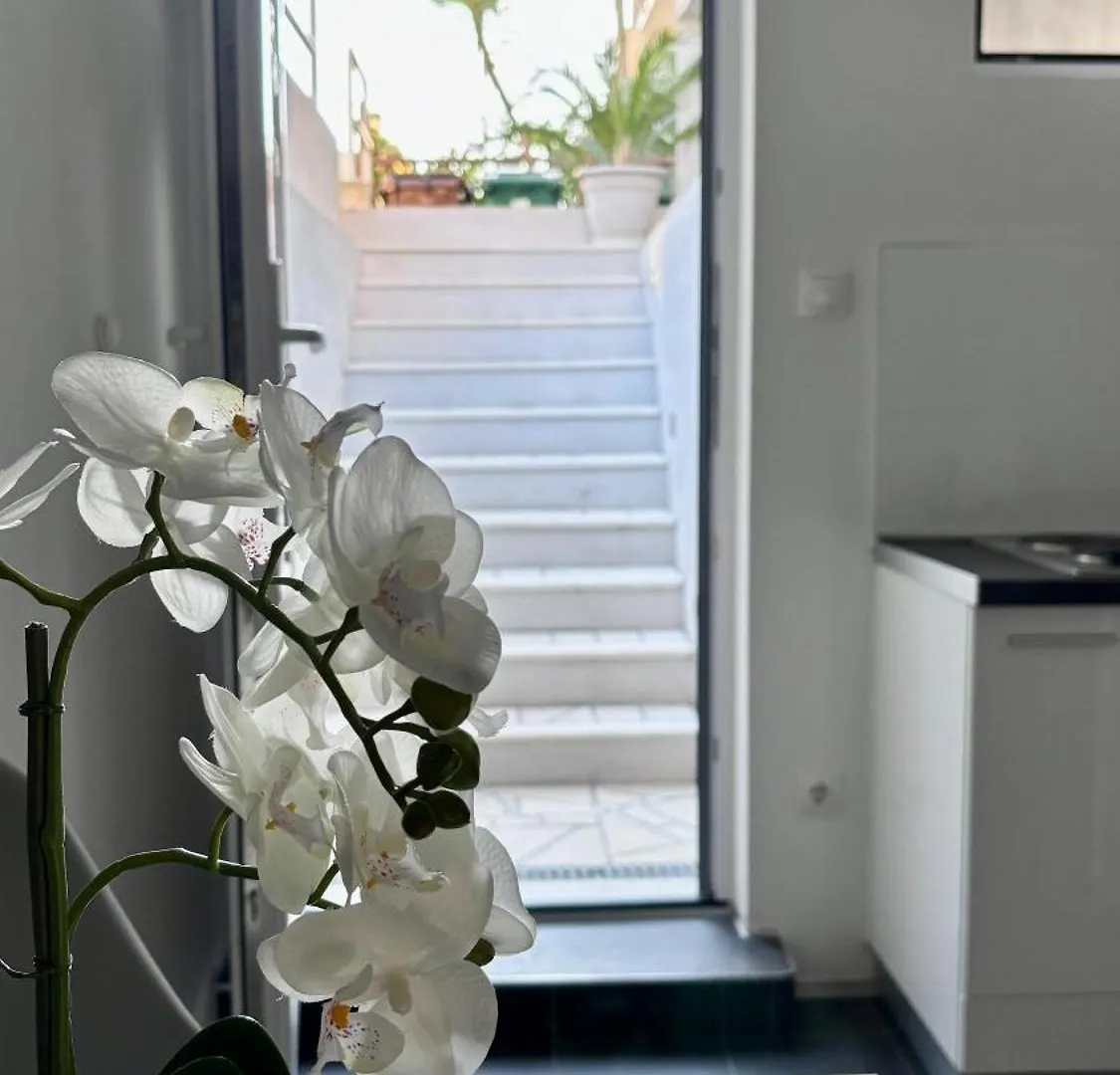 Apartman Branka *** Spalato Appartamento